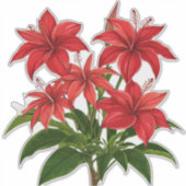 鮮やかな赤いハイビスカスの花束 シール (正面)