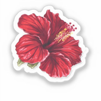 鮮やかな赤いハイビスカスの花 シール