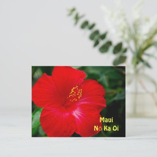 鮮やかな赤いハイビスカスフラワー、マウイハワイ ポストカード (スタンド正面)