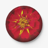 鮮やかな赤いマリゴールド ペーパープレート (正面)