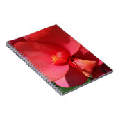 鮮やかな赤い花びら ノートブック (右側)