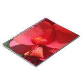 鮮やかな赤い花びら ノートブック (左側)