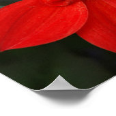 鮮やかな赤い花 ポスター (角)