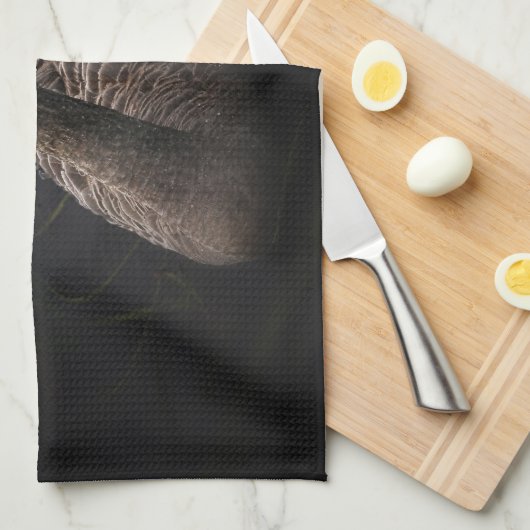 鮮やかな赤くのくちばしを持つ美しい黒い白鳥 キッチンタオル (四つ折り)