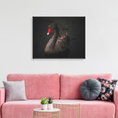 鮮やかな赤くのくちばしを持つ美しい黒い白鳥 キャンバスプリント (インサイチュ (リビング))
