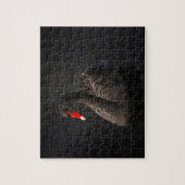 鮮やかな赤くのくちばしを持つ美しい黒い白鳥 ジグソーパズル (縦)