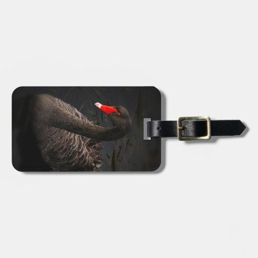 鮮やかな赤くのくちばしを持つ美しい黒い白鳥 ラゲッジタグ (正面横)