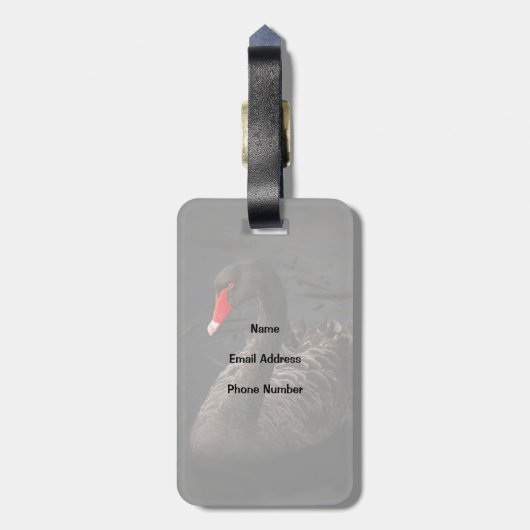 鮮やかな赤くのくちばしを持つ美しい黒い白鳥 ラゲッジタグ (裏面縦)