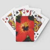 鮮やかな赤オレンジ色のハイビスカスフラワー トランプ (裏面)