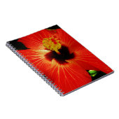 鮮やかな赤オレンジ色のハイビスカスフラワー ノートブック (右側)