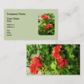 鮮やかな赤ゲラニウム 名刺 (正面/裏面)