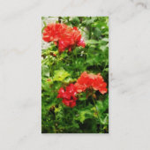 鮮やかな赤ゲラニウム 名刺 (裏面)