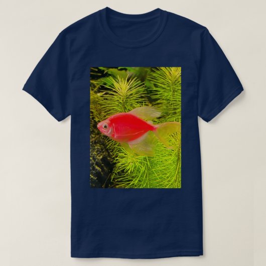 鮮やかな赤金魚 Tシャツ (デザイン正面)