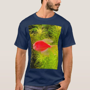 鮮やかな赤金魚 Tシャツ