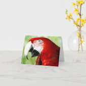 鮮やかな赤 カード (黄色い花)