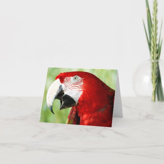 鮮やかな赤 カード (正面)