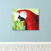 鮮やかな赤 キャンバスプリント (インサイチュ (ウッドフロア))