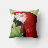 鮮やかな赤 クッション (裏面)