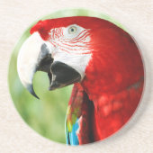 鮮やかな赤 コースター (正面)