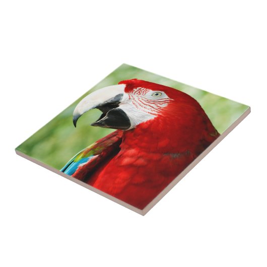 鮮やかな赤 タイル (側面)