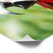 鮮やかな赤 フォトプリント            (角)