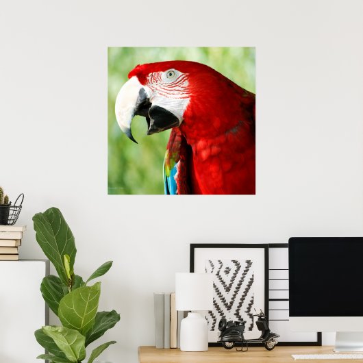 鮮やかな赤 ポスター (ホームオフィス)