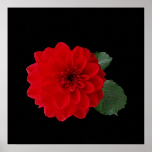 鮮やかな赤 ポスター (正面)