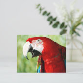 鮮やかな赤 ポストカード (スタンド正面)