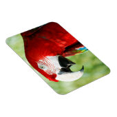 鮮やかな赤 マグネット (右側)