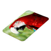 鮮やかな赤 マグネット (左側)