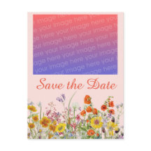 鮮やかな野の花