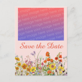 鮮やかな野の花 ポストカード