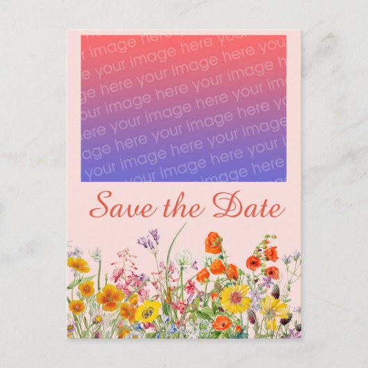 鮮やかな野の花 ポストカード (正面)