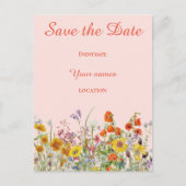 鮮やかな野の花 ポストカード (正面)