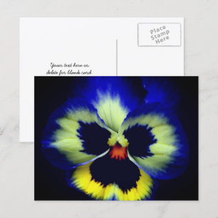 鮮やかな青いパンジーの花の写真 - Bold Blue Pansy Flower Photograp ポストカード