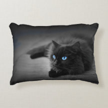 鮮やかな青い目をした黒猫 – 猫のアクセント