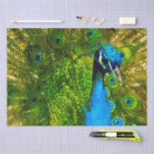 鮮やかな青と緑の孔雀の羽カラフル鳥 薄葉紙 (クラフト)