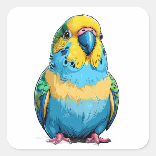 鮮やかな青と黄色のインコ スクエアシール (正面)