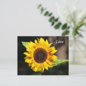 鮮やかな黄色のひまわり ポストカード (スタンド正面)