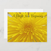 鮮やかな黄色のトゲトゲダリアの写真で「あなたのことを想って」 ポストカード (正面/裏面)