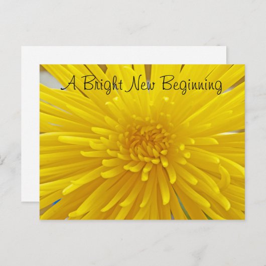 鮮やかな黄色のトゲトゲダリアの写真で「あなたのことを想って」 ポストカード (正面/裏面)