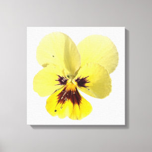鮮やかな黄色のパンジーの花の写真 キャンバスウォールアート キャンバスプリント