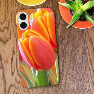 鮮やかな黄色の縁取りオレンジのチューリップの写真 iPhone 16 PLUSケース