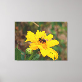鮮やかな黄色の花のクローズアップ写真:ミツバチが訪れる瞬間 キャンバスプリント