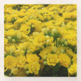 鮮やかな黄色の花のフォト フラワー ガラスコースター