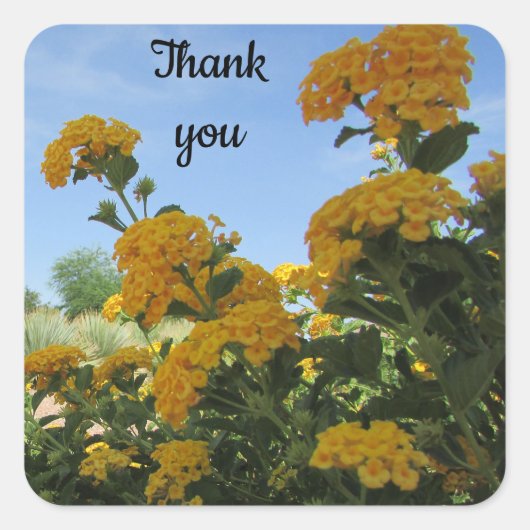 鮮やかな黄色の花の写真鑑賞に感謝 スクエアシール (正面)