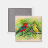 鮮やかな Scarlet Tanagers 水彩画 マグネット (正面/裏面)