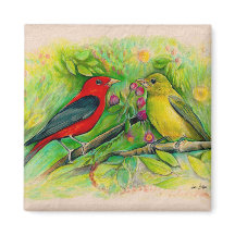 鮮やかな Scarlet Tanagers 水彩画