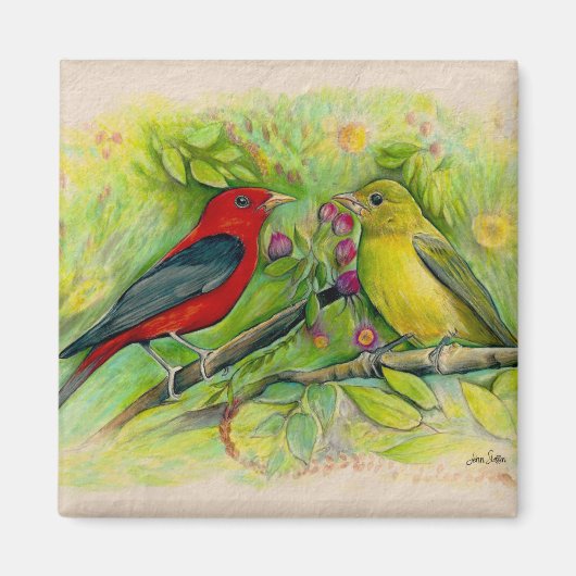 鮮やかな Scarlet Tanagers 水彩画 マグネット (正面)