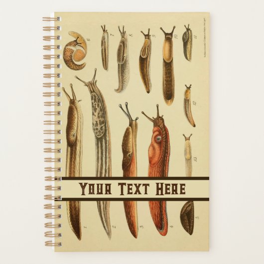鮮やかアンティークスラグイラストレーション自然史 プランナー手帳 (正面)